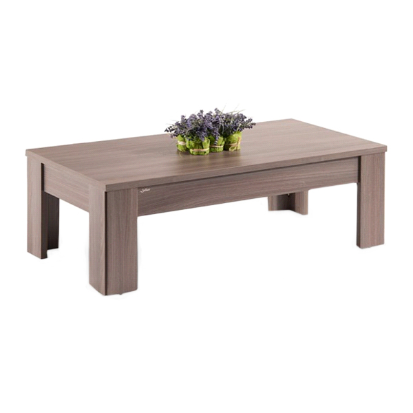 میز جلومبلی 60x60 جلیس مدل سناتور